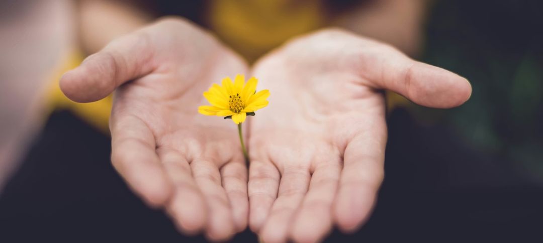 atlanta-nonprofits-that-need-volunteers